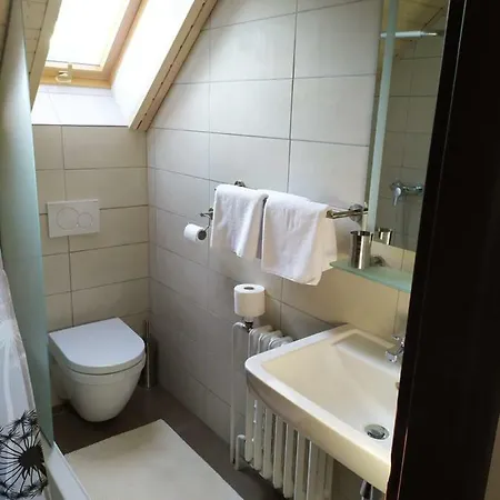 Guest house Statek Cesky Dvur 3*