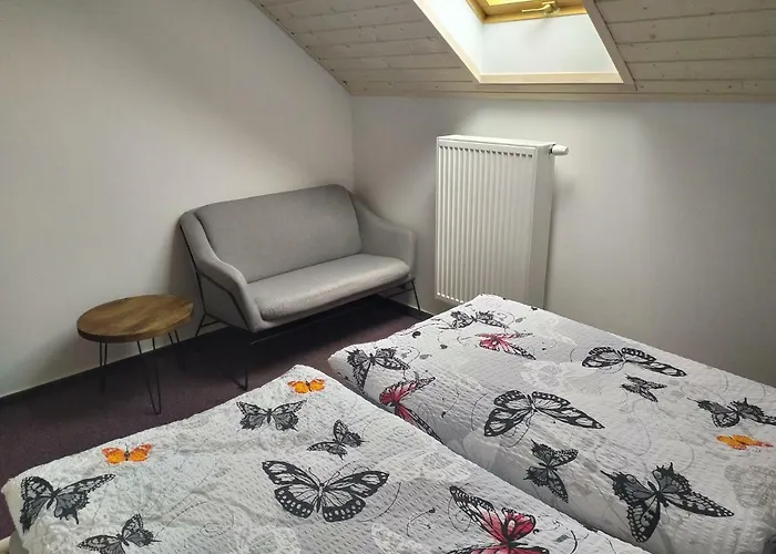 Statek Cesky Dvur Guest house