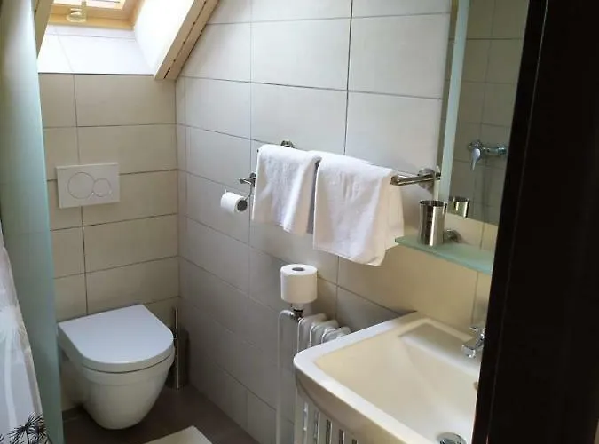 Gasthof Statek Cesky Dvur 3*