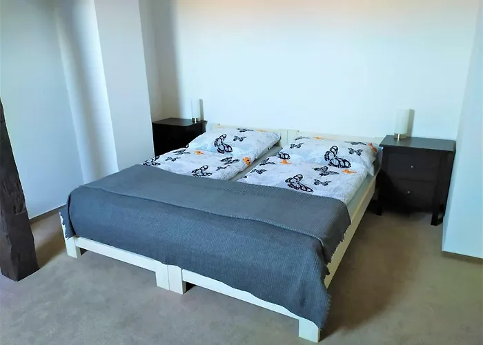 Statek Cesky Dvur Гостевой дом