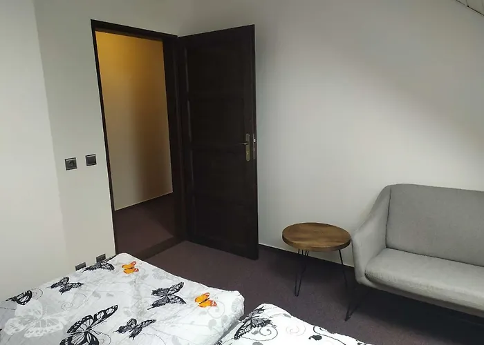 Гостевой дом Statek Cesky Dvur 3*