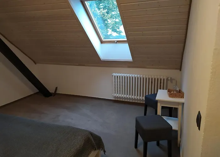 Gasthof Statek Cesky Dvur 3*